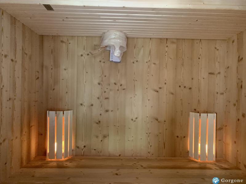 Jacuzzi et sauna