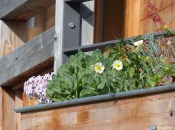 cliquez ici pour agrandir les photos de cette location à megeve
