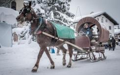 cliquez ici pour agrandir les photos de cette location à megeve