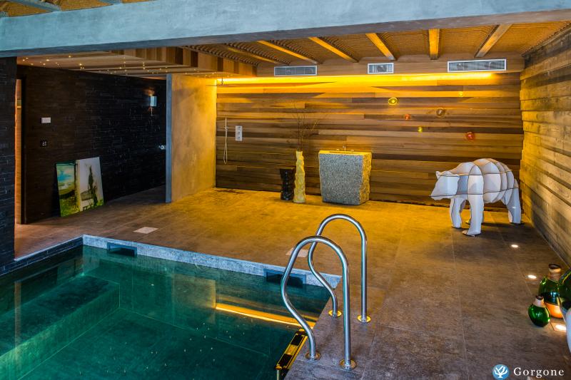 Photo n°3 de :CHALET AVEC PISCINE