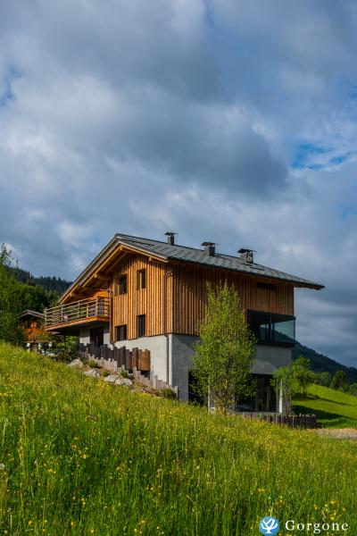 Photo n°1 de :CHALET AVEC PISCINE